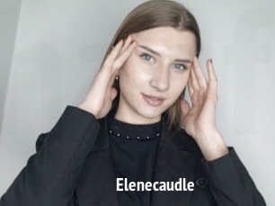 Elenecaudle