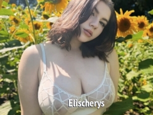 Elischerys