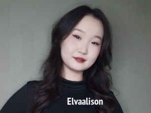 Elvaalison