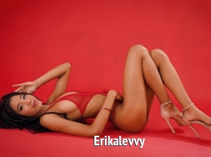 Erikalevvy