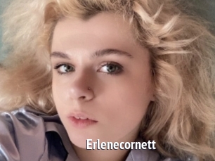 Erlenecornett