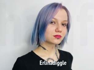 Erlinadiggle