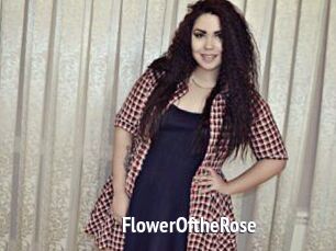 FlowerOftheRose