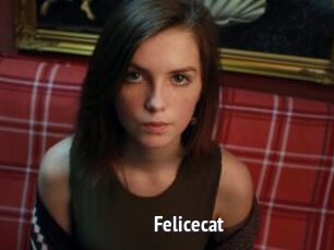 Felicecat