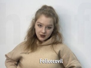 Felicecovil