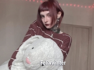 Felixwinter