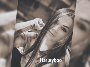 Harleyboo