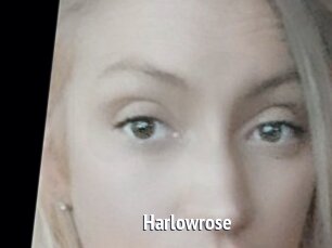 Harlowrose