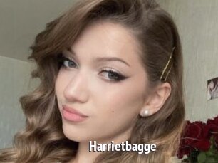 Harrietbagge