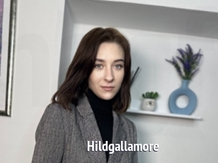 Hildgallamore