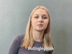 Hollisgleghorn