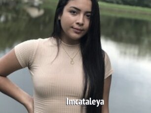 Imcataleya