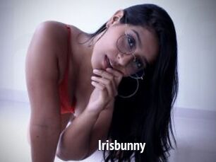 Irisbunny