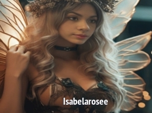 Isabelarosee