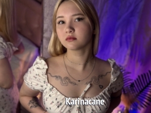 Karinacane