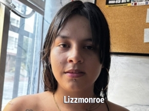 Lizzmonroe