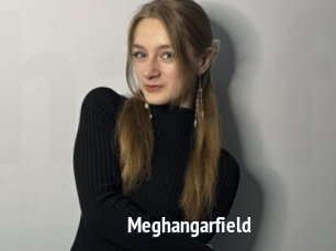 Meghangarfield