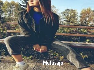 Mellisajo