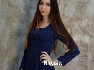 Nicecatt