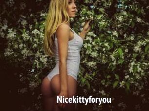 Nicekittyforyou