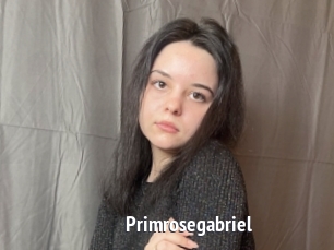 Primrosegabriel