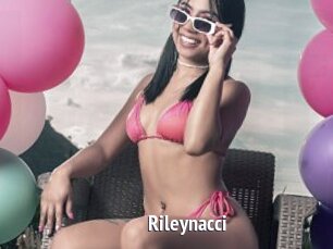 Rileynacci