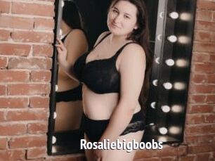 Rosaliebigboobs