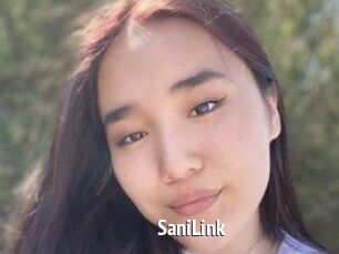 SaniLink