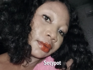 Secypot