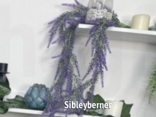 Sibleyberner