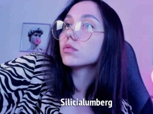 Silicialumberg