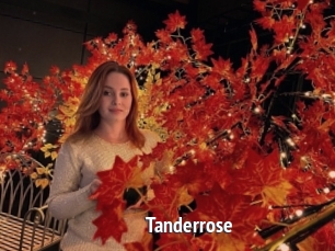 Tanderrose