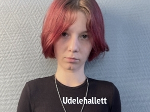 Udelehallett