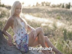 Ursecretsandy