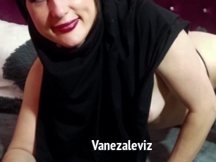 Vanezaleviz