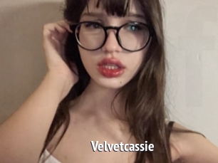 Velvetcassie