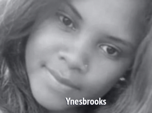 Ynesbrooks