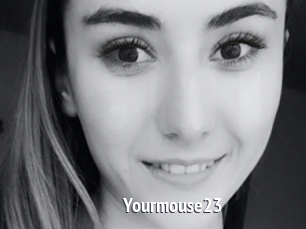 Yourmouse23