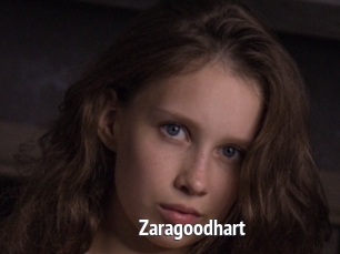 Zaragoodhart